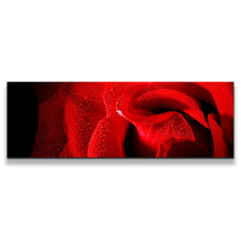 Load image into Gallery viewer, 1pB_red