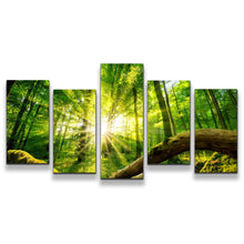 Load image into Gallery viewer, 5pC_green