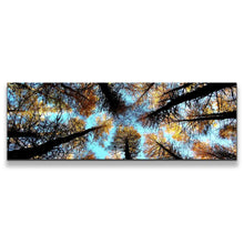 Load image into Gallery viewer, 1pB_blue