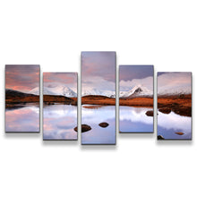 Load image into Gallery viewer, 5pC_white