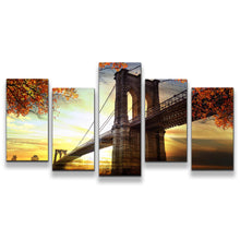 Load image into Gallery viewer, 5pC_yellow