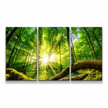 Load image into Gallery viewer, 3pE_green