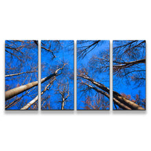 Load image into Gallery viewer, 4pC_blue