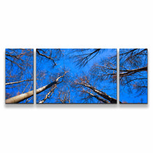 Load image into Gallery viewer, 3pD_blue