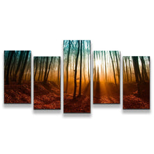 Load image into Gallery viewer, 5pC_brown