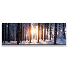 Load image into Gallery viewer, 1pB_yellow