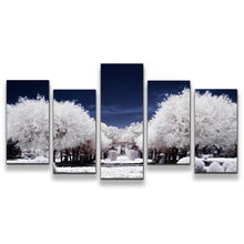 Load image into Gallery viewer, 5pC_white