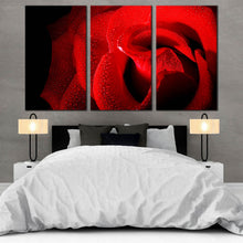 Load image into Gallery viewer, 3pE_red