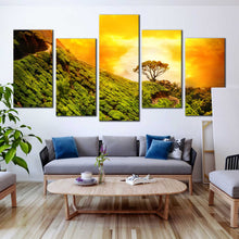 Load image into Gallery viewer, 5pC_orange