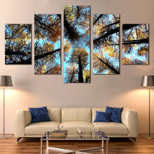 Load image into Gallery viewer, 5pA_blue