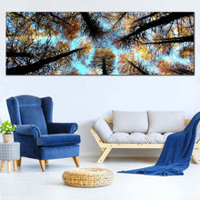 Load image into Gallery viewer, 1pB_blue