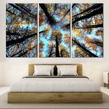 Load image into Gallery viewer, 3pE_blue