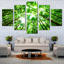 Load image into Gallery viewer, 5pA_green
