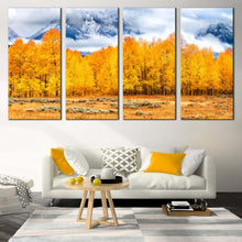 Load image into Gallery viewer, 4pC_orange