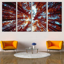 Load image into Gallery viewer, 4pC_orange