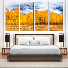 Load image into Gallery viewer, 4pC_orange