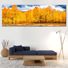 Load image into Gallery viewer, 1pB_orange