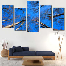 Load image into Gallery viewer, 5pC_blue