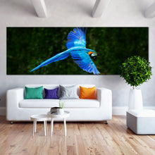 Load image into Gallery viewer, 1pB_blue