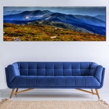 Load image into Gallery viewer, 1pB_blue