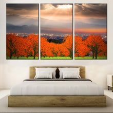 Load image into Gallery viewer, 3pE_orange