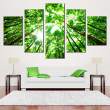 Load image into Gallery viewer, 5pA_green