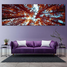 Load image into Gallery viewer, 1pB_orange