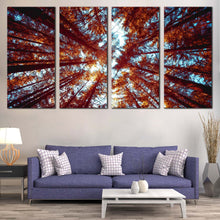 Load image into Gallery viewer, 4pC_orange