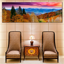 Load image into Gallery viewer, 1pB_blue