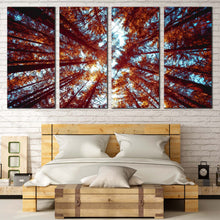 Load image into Gallery viewer, 4pC_orange