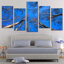 Load image into Gallery viewer, 5pC_blue