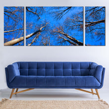 Load image into Gallery viewer, 3pD_blue