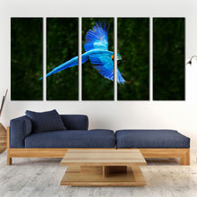 Load image into Gallery viewer, 5pD_blue