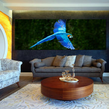 Load image into Gallery viewer, 1pB_blue