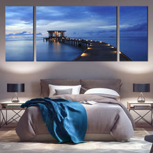 Load image into Gallery viewer, 3pD_blue