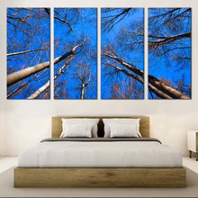 Load image into Gallery viewer, 4pC_blue