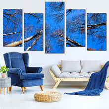 Load image into Gallery viewer, 5pC_blue