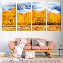 Load image into Gallery viewer, 4pC_orange