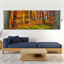 Load image into Gallery viewer, 1pB_orange