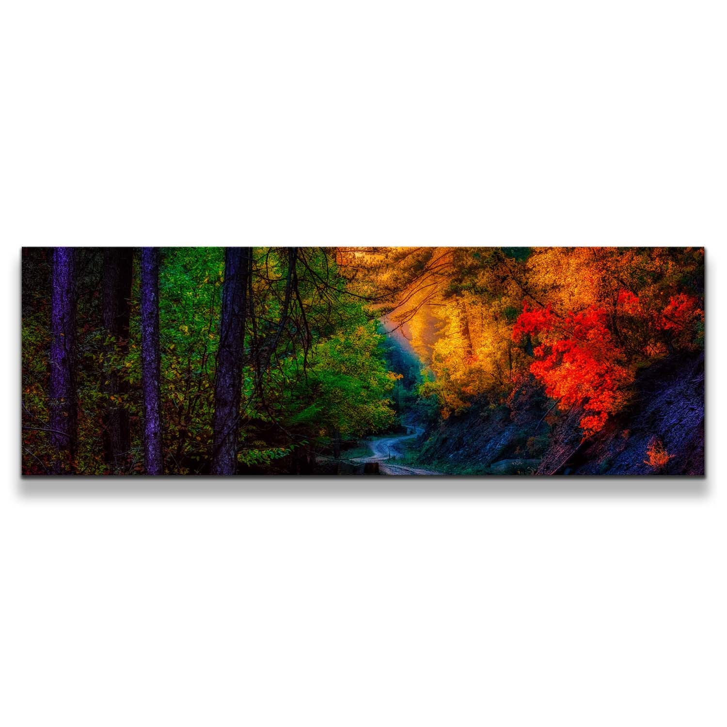 Forest Landscape Canvas